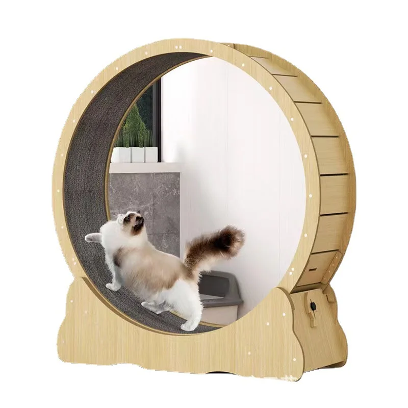Interactive Cat Toy - Колесо для фитнеса для кошек, домашняя
