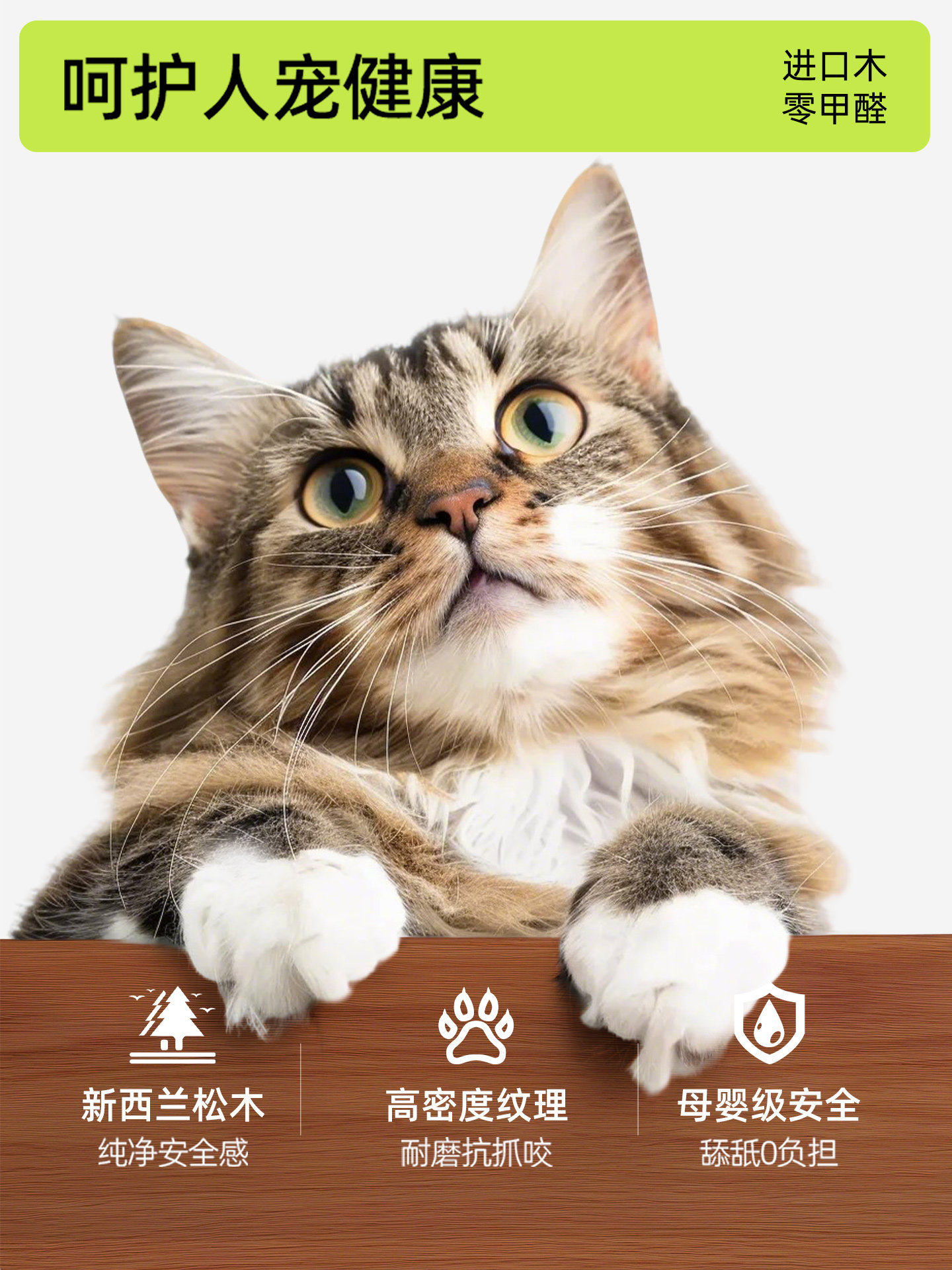 Первый цвет, средневековый сти – обзор и цена Pet Supplies First