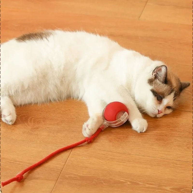 Умная интерактивная игрушка дл – обзор и цена Pet Supplies First