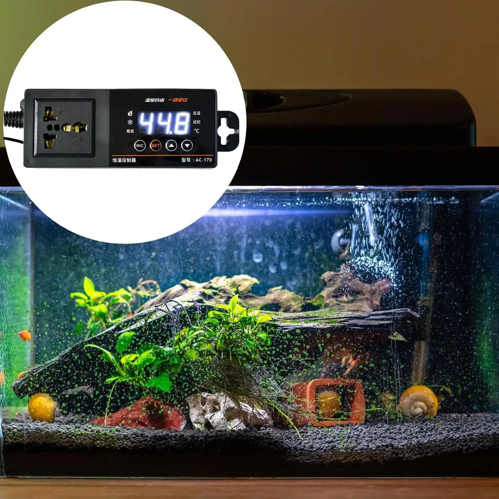 Термостат для террариума с LED – обзор и цена Pet Supplies Uk