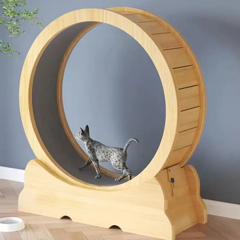 Колесо для фитнеса для кошек,  – обзор и цена Interactive Cat Toy
