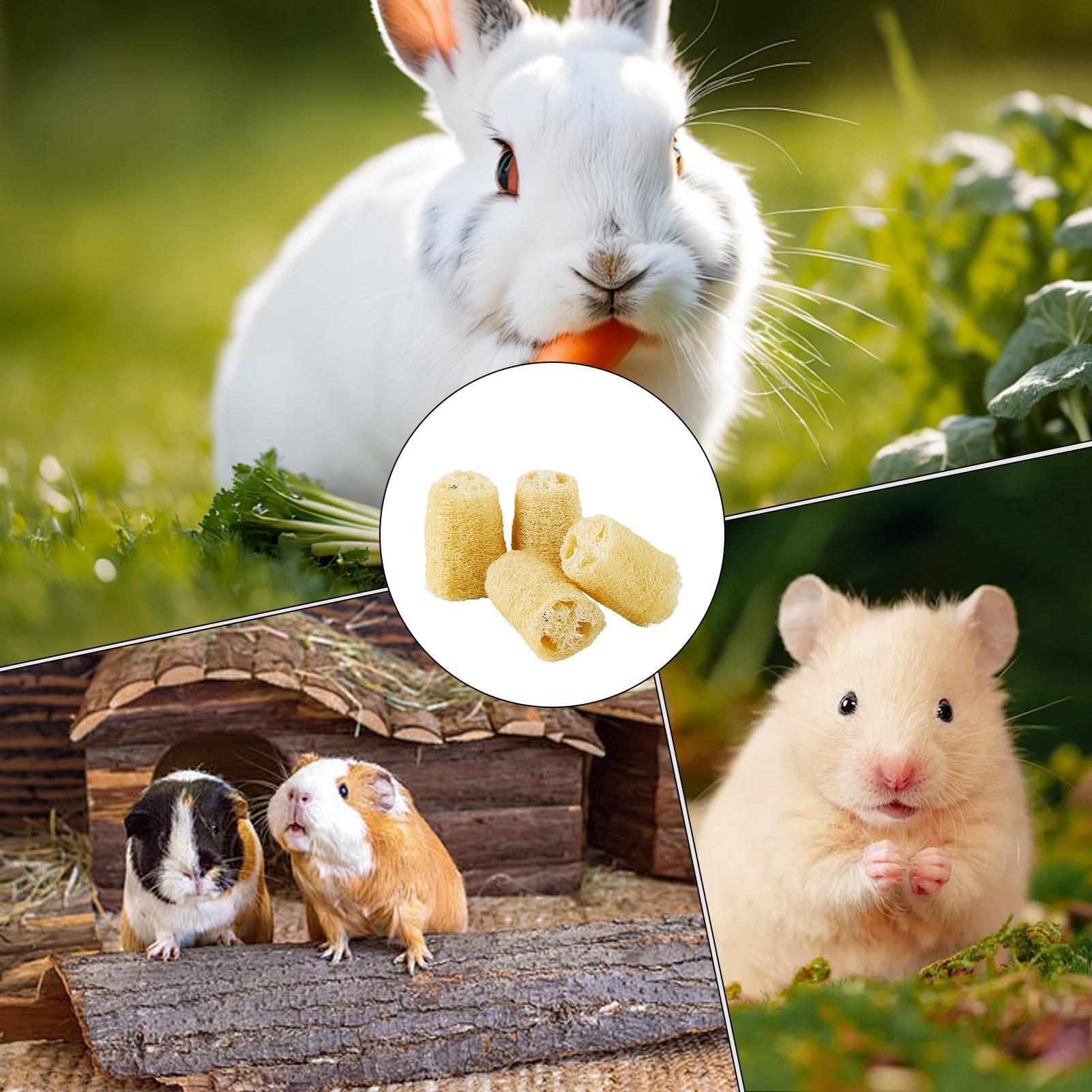Жевательные игрушки для кролик – обзор и цена Pet Supplies Pet Shop